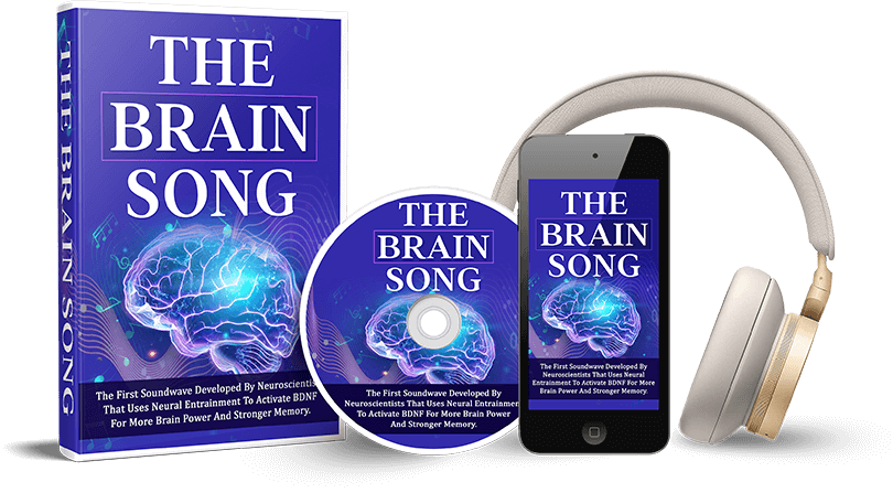 The Brain Song — 6 Bottle Package